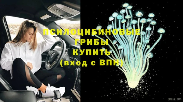 стаф Армянск